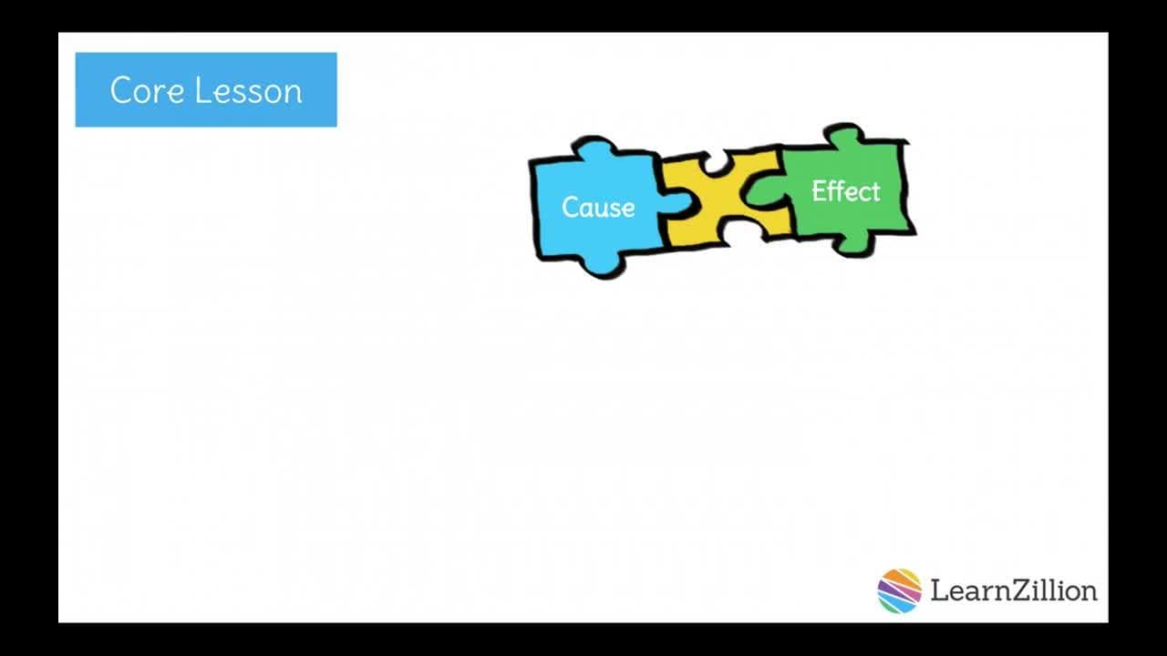 Using Signal Words to Show Cause and Effect