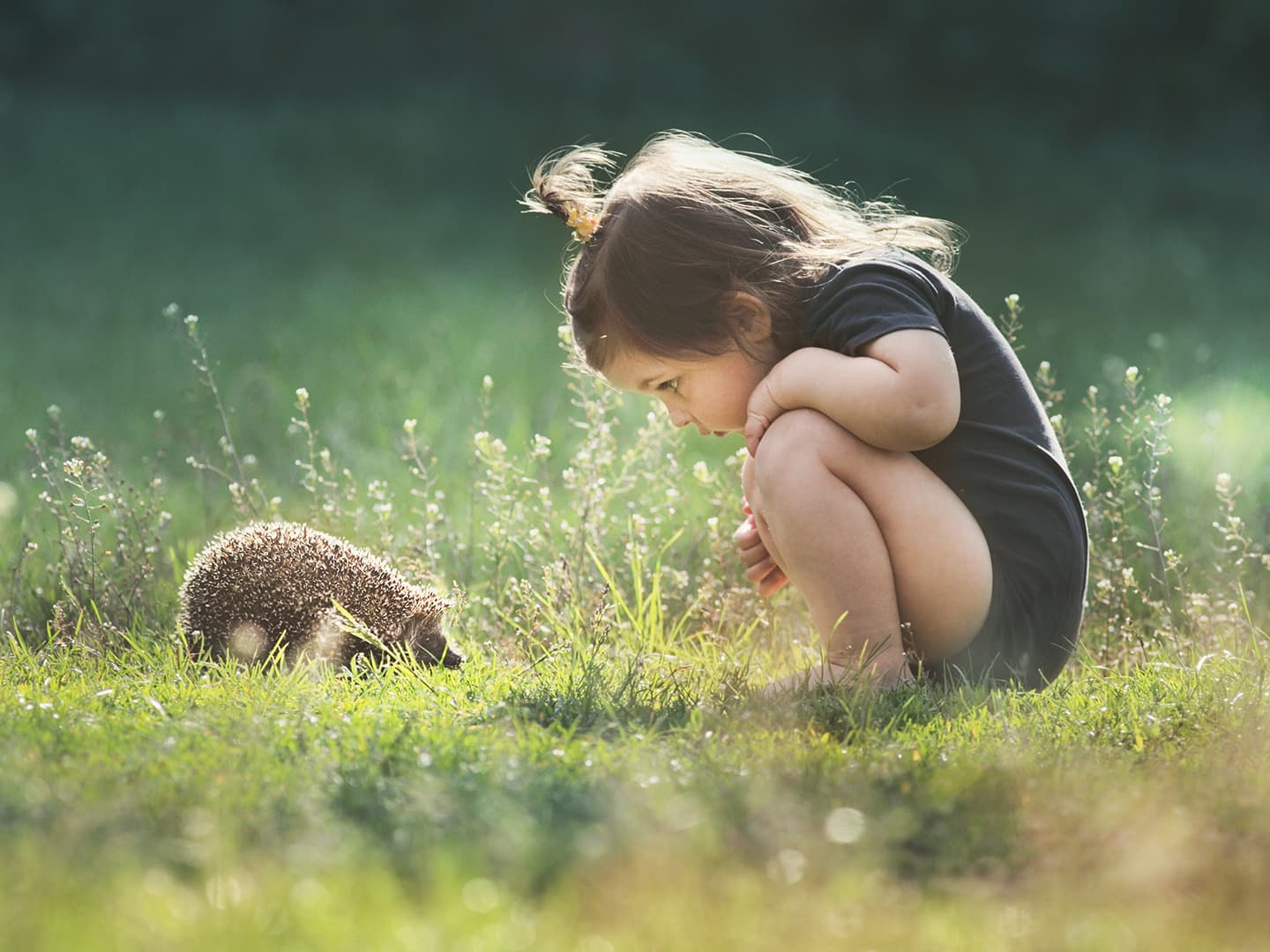 Initiative: The Key to Making Things Happen