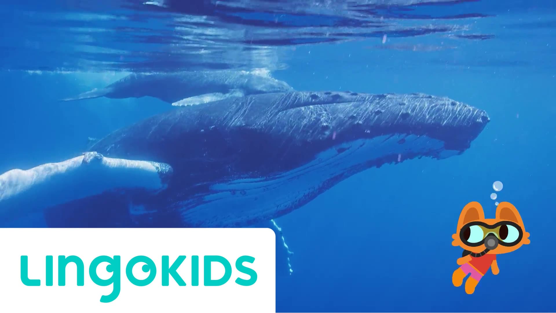 Down Down Down (Under The Sea)