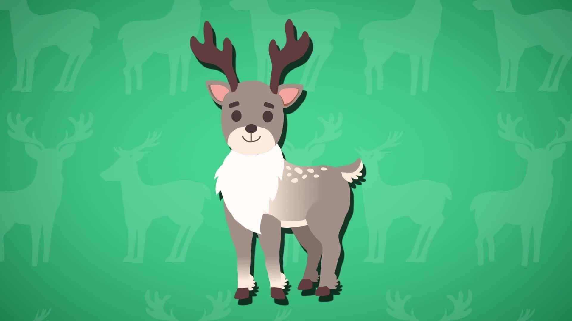 I WONDER - Why Do Reindeers Have Fur On Their Hooves?