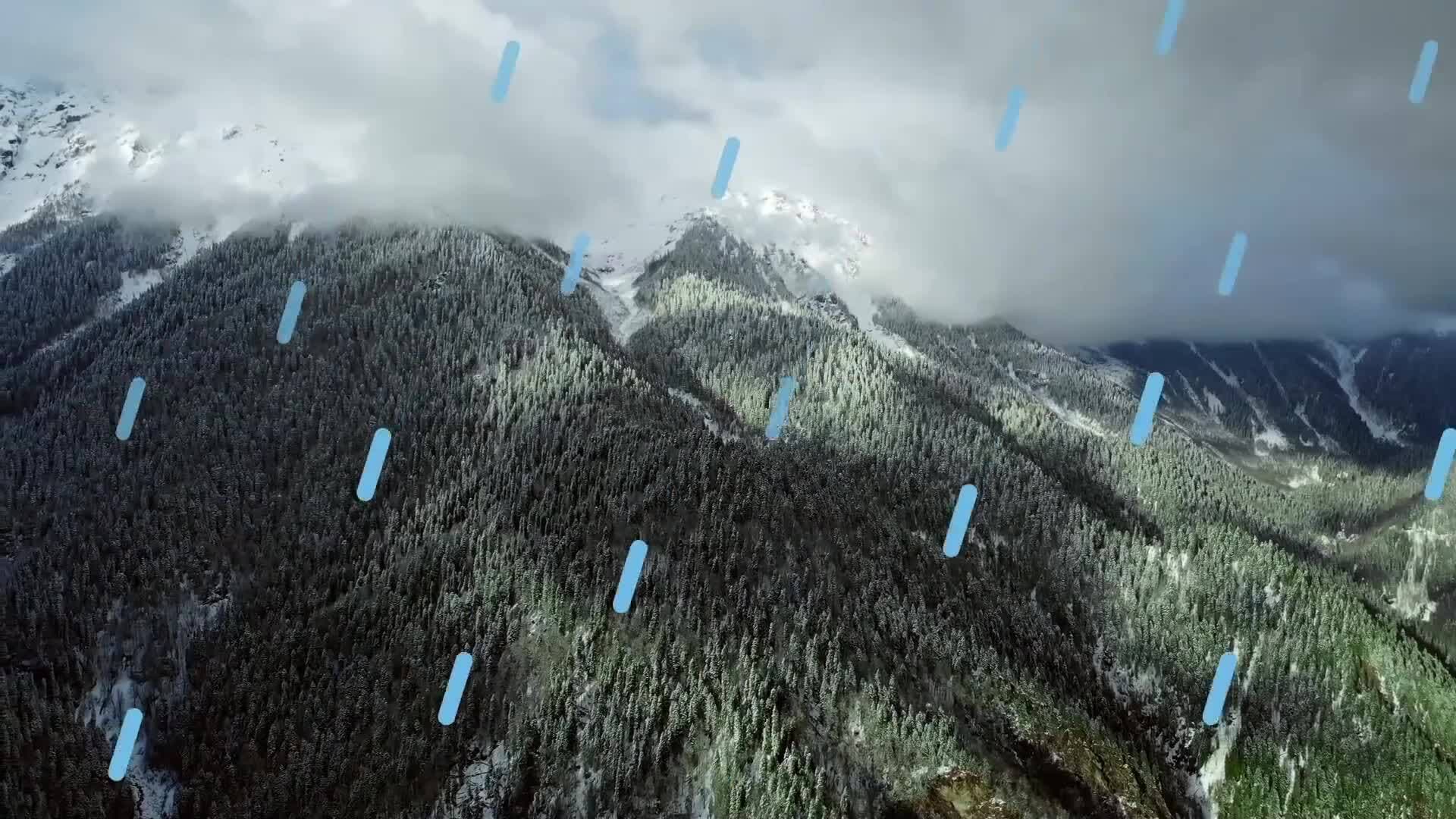 I WONDER - How Do Red Pandas Keep Warm?