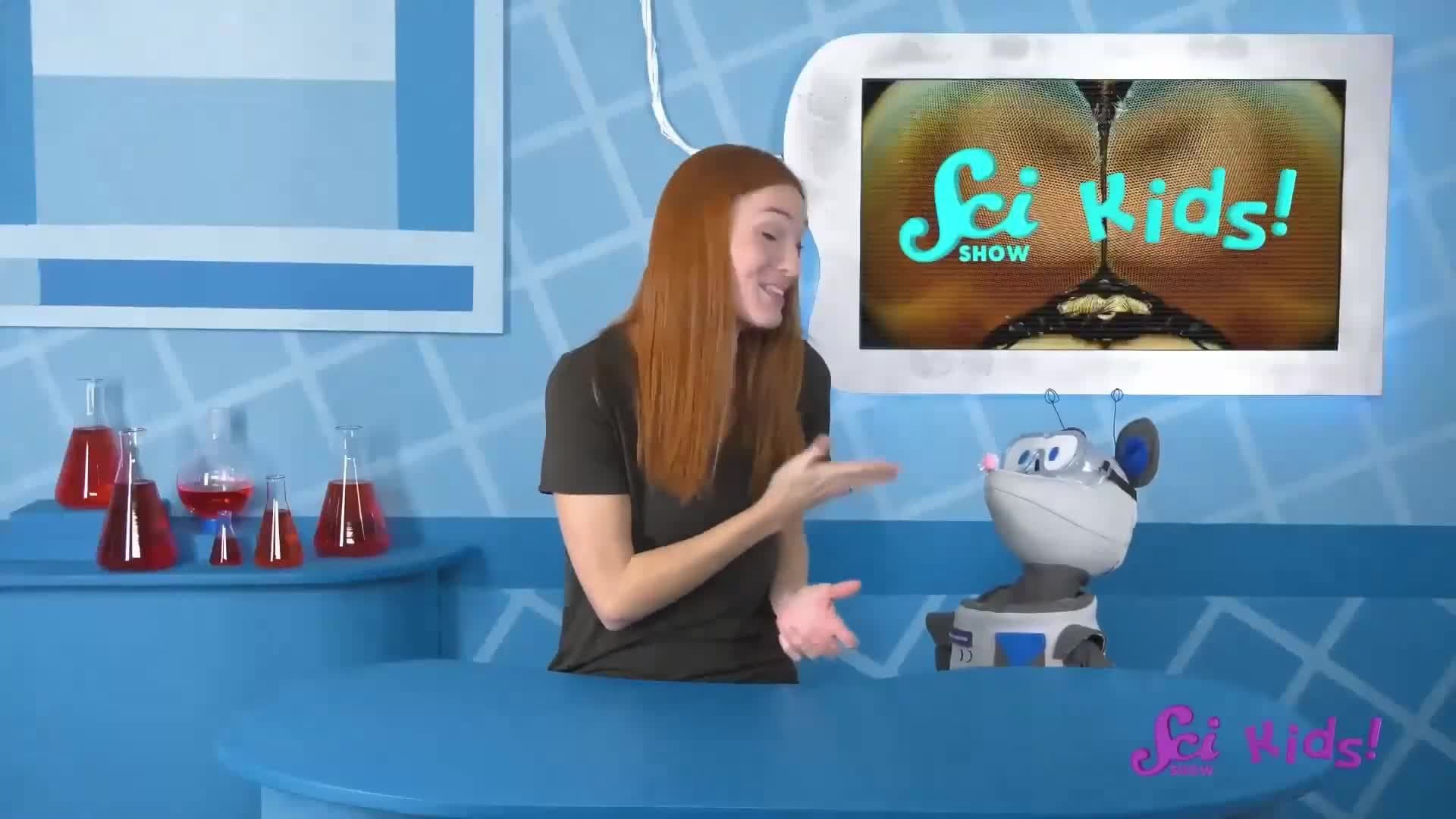 Compound Eyes: See Like a Dragonfly! | Amazing Animal Senses | SciShow Kids