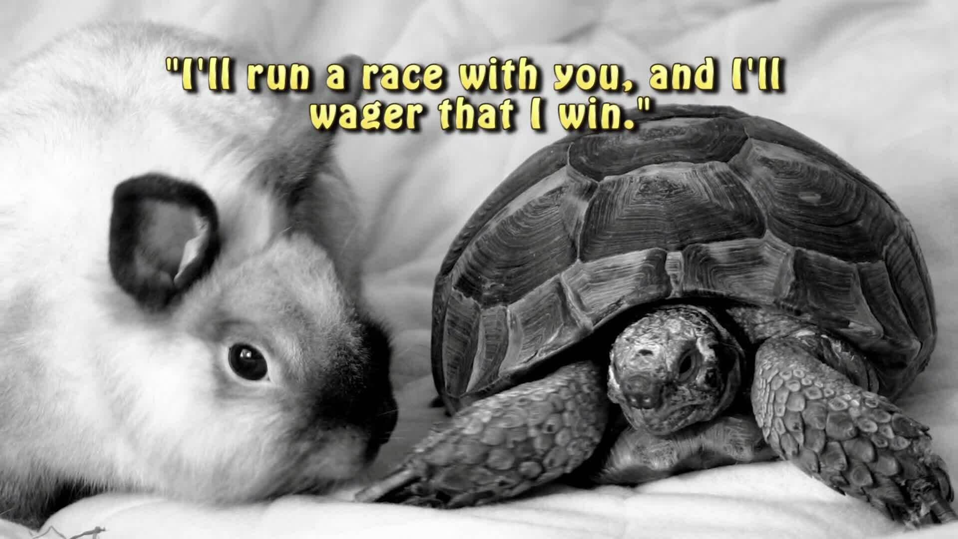 Personification: Bringing Life to the Inanimate in Literature