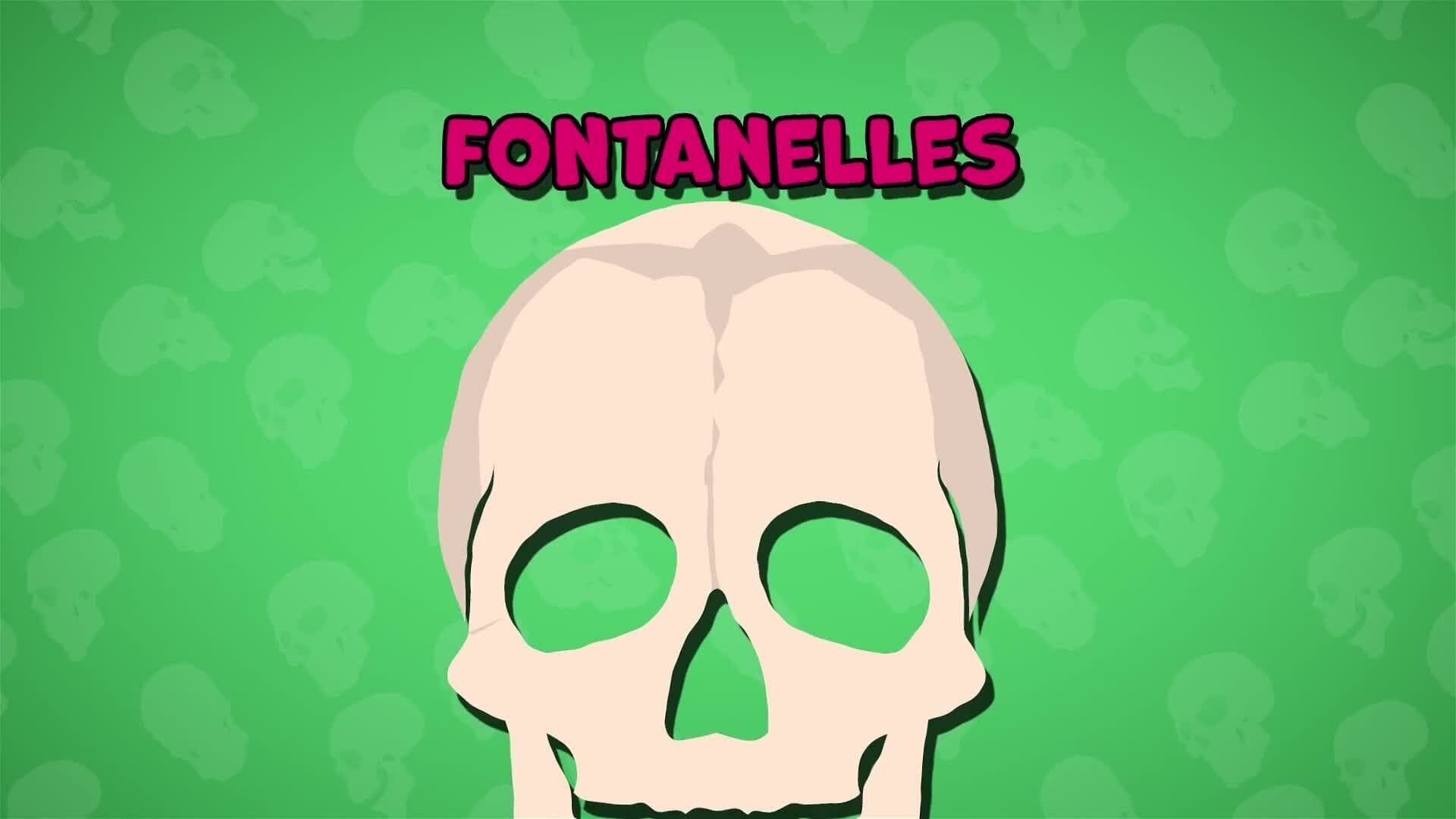 I WONDER - Are Baby's Skulls Different?