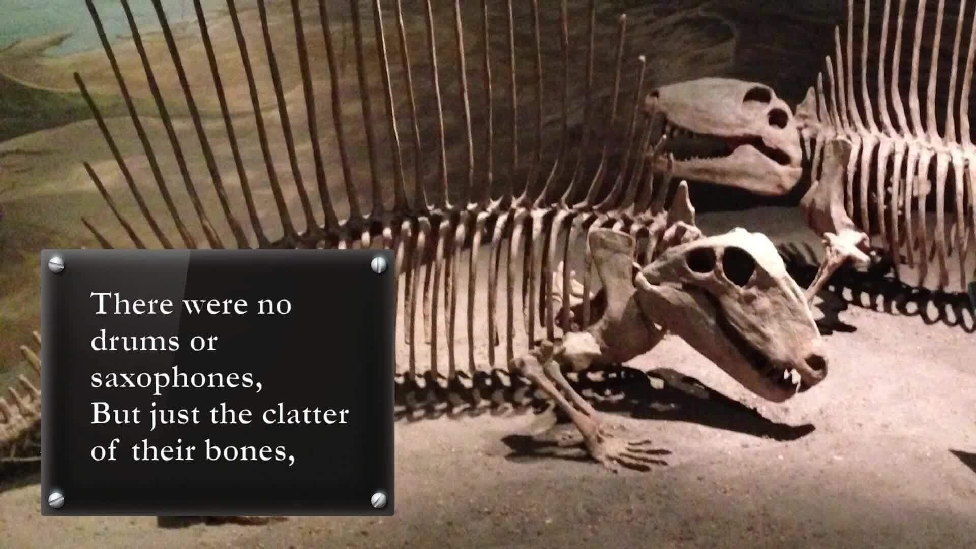 The Sounds of Language: Exploring Onomatopoeia