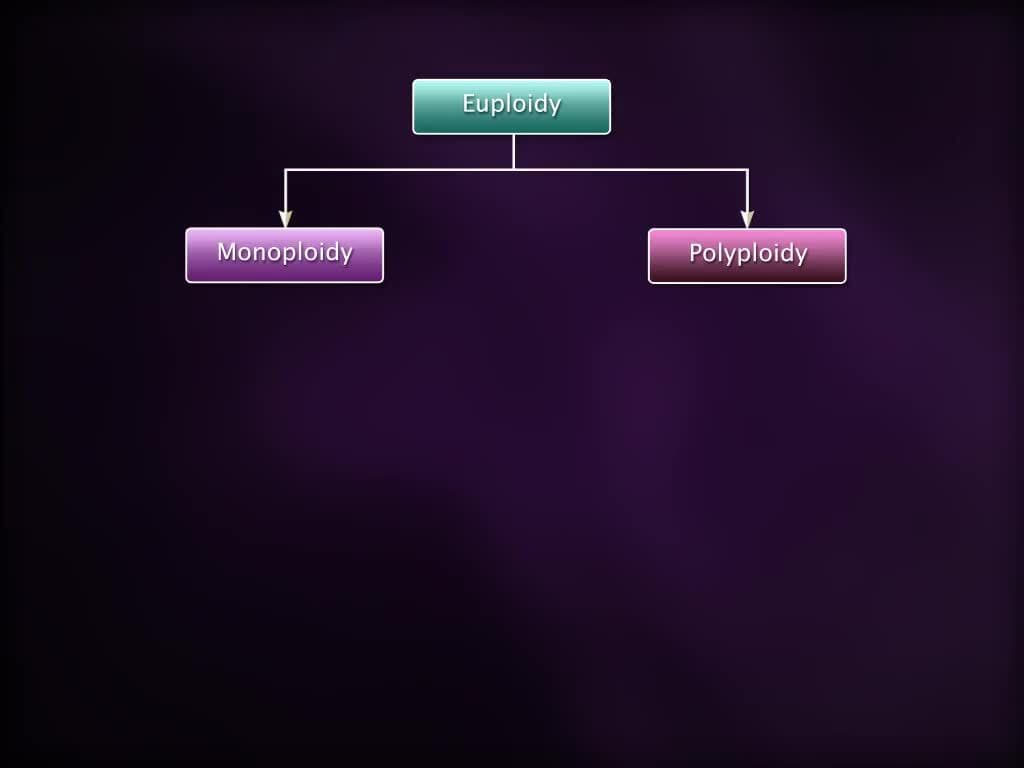 Chromosomal Disorders