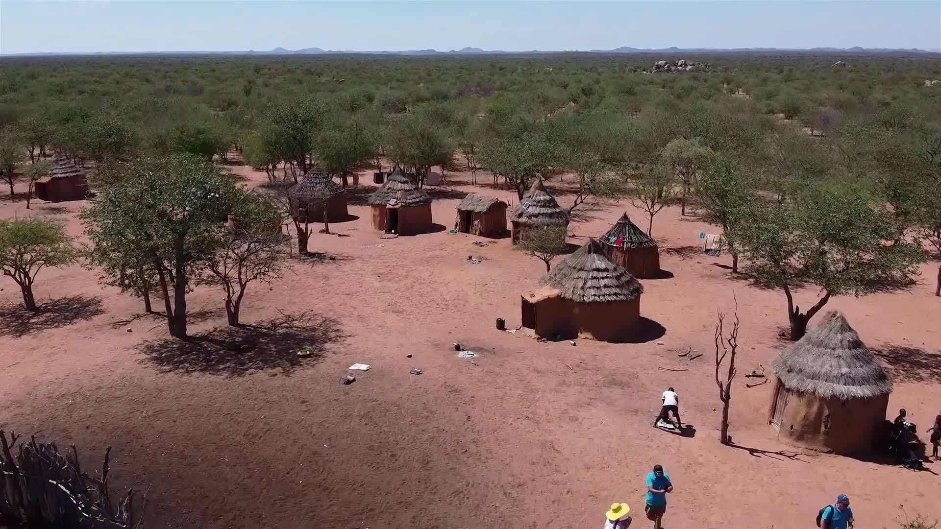 I WONDER - Who Lives In The Amazon?