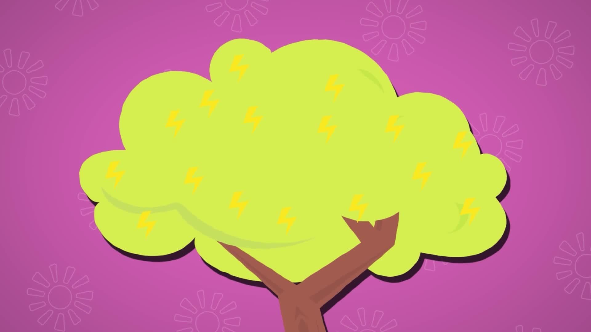 Five Facts - Bio Energy