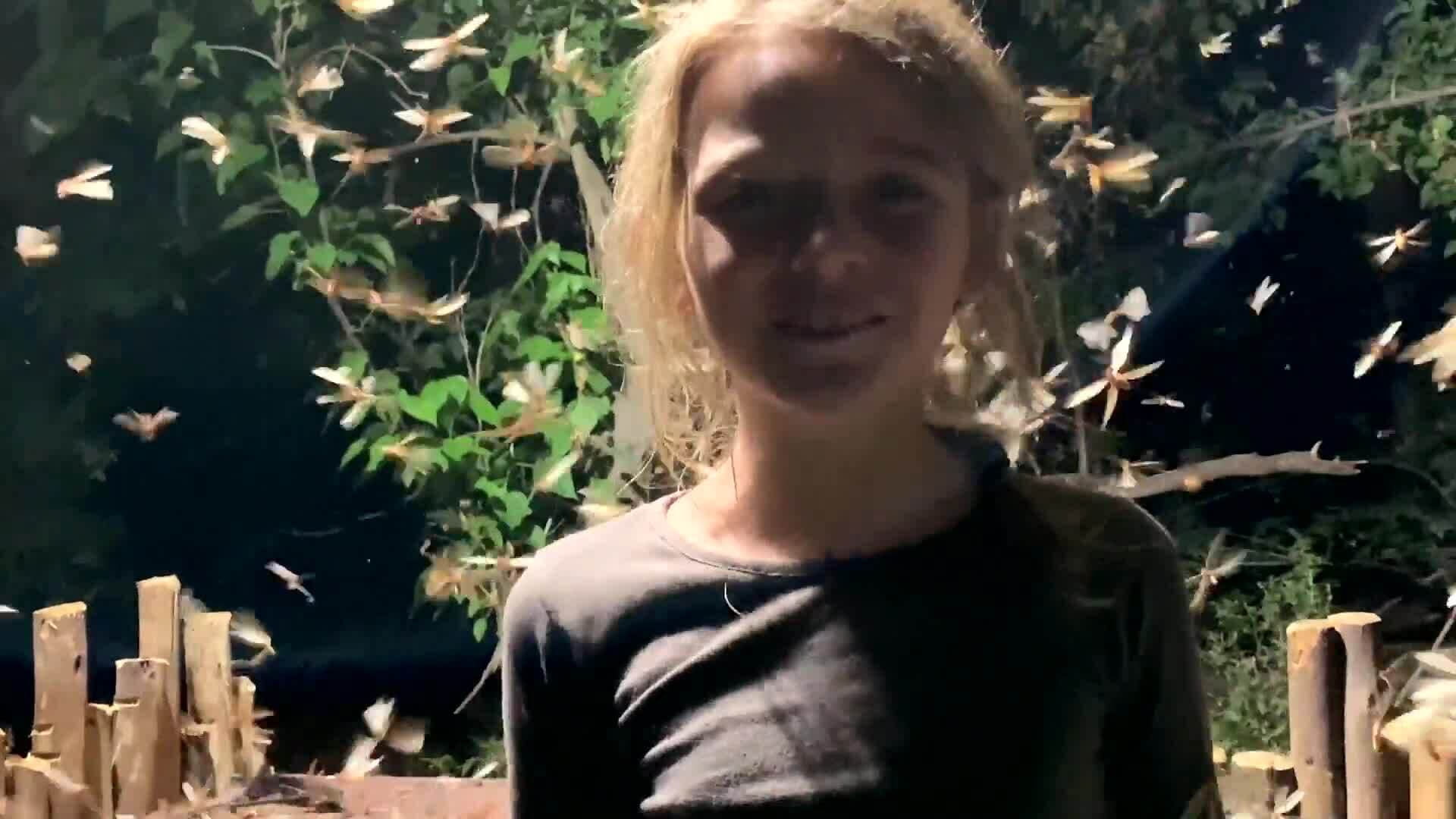 On Safari with Nala - Termites