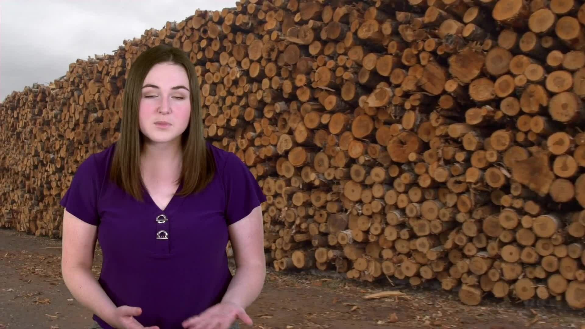 Conserving the Tropical Rainforest: Our Collective Responsibility