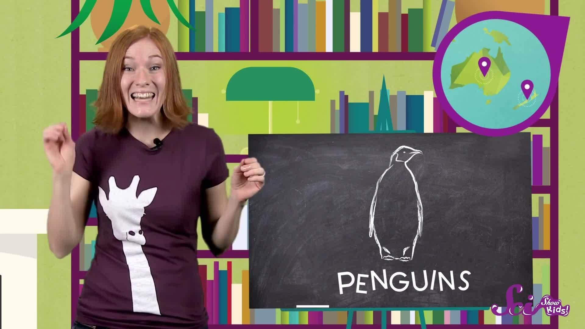 Meet 3 Peculiar Penguins | Animal Science for Kids