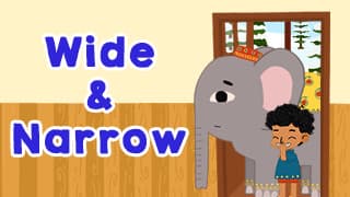 Comparing Sizes - Wide And Narrow