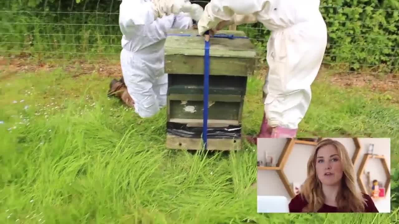How to Move a Beehive? | Beekeeping with Maddie #11