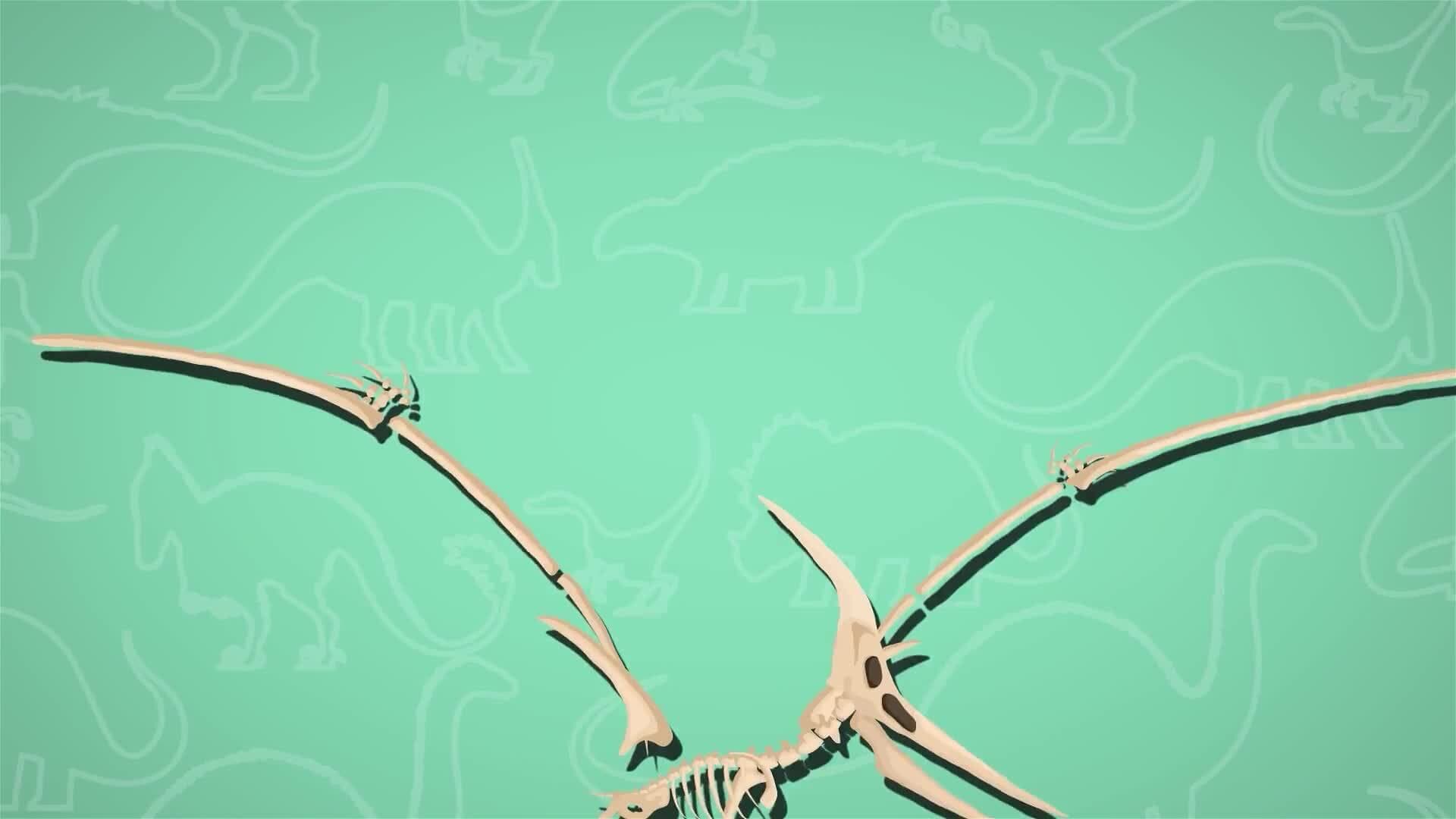 I WONDER - Why Did The Pteranodon Have A Crest?