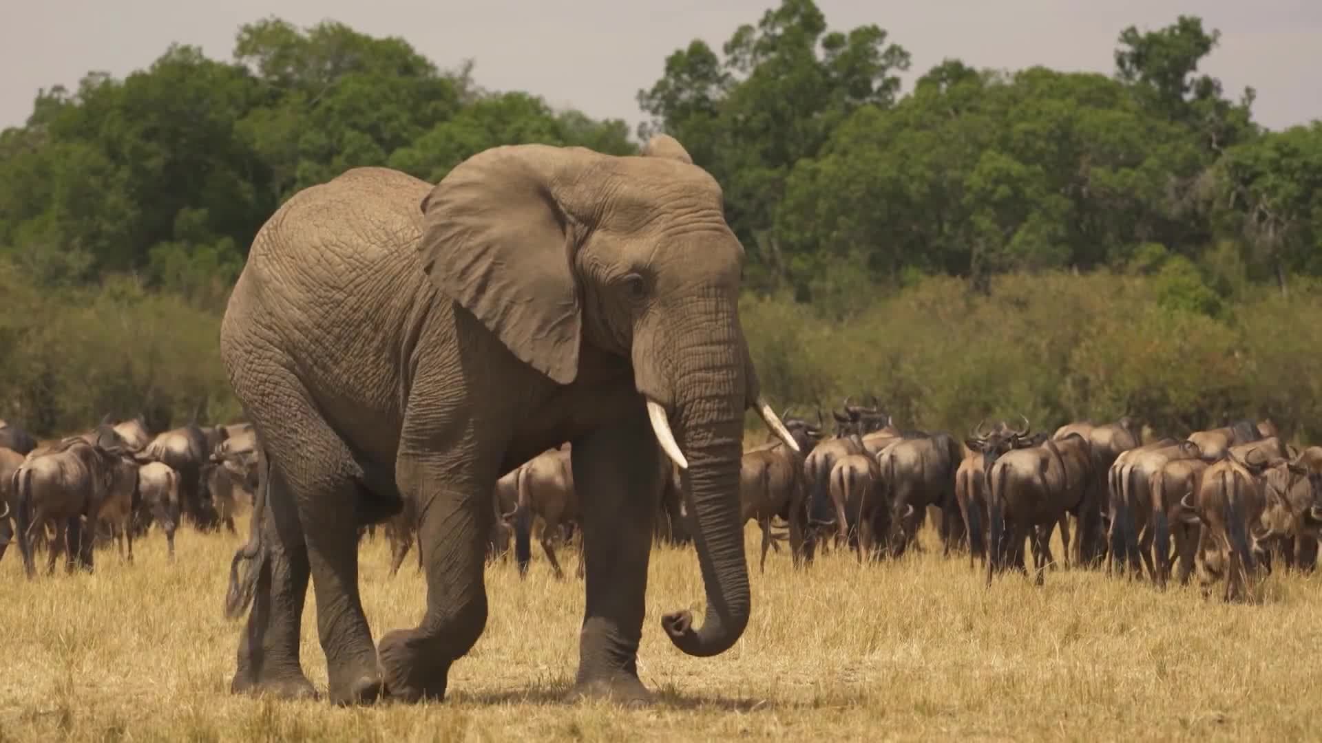 I WONDER - Are There Different Types Of Biodiversity?