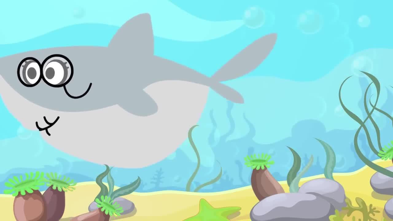 Baby Shark Song!  Animal Song for Kids