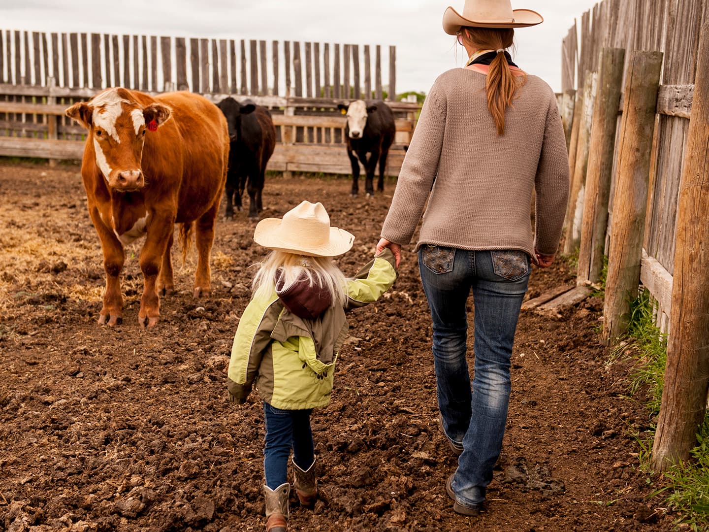 Adaptability: Embracing Change and Thriving in New Environments