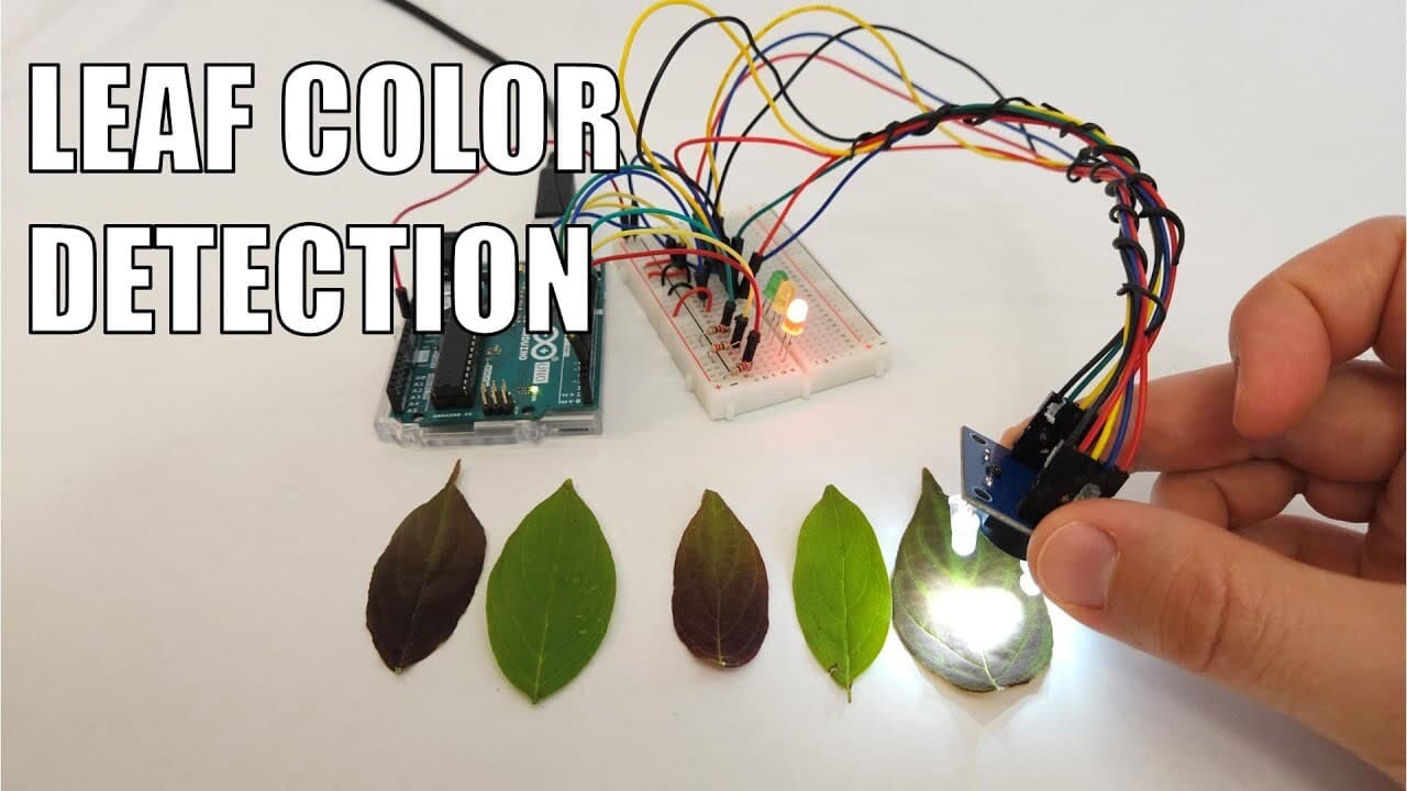 Leaf Color Detection with Arduino