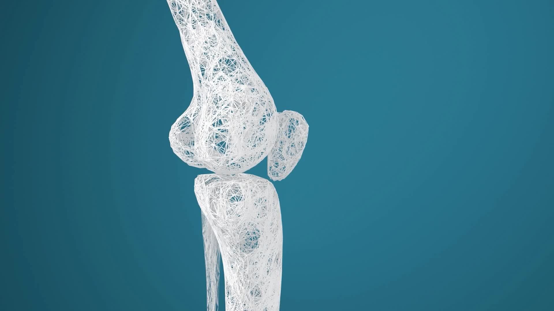 High Five Facts - Parasaurolophus