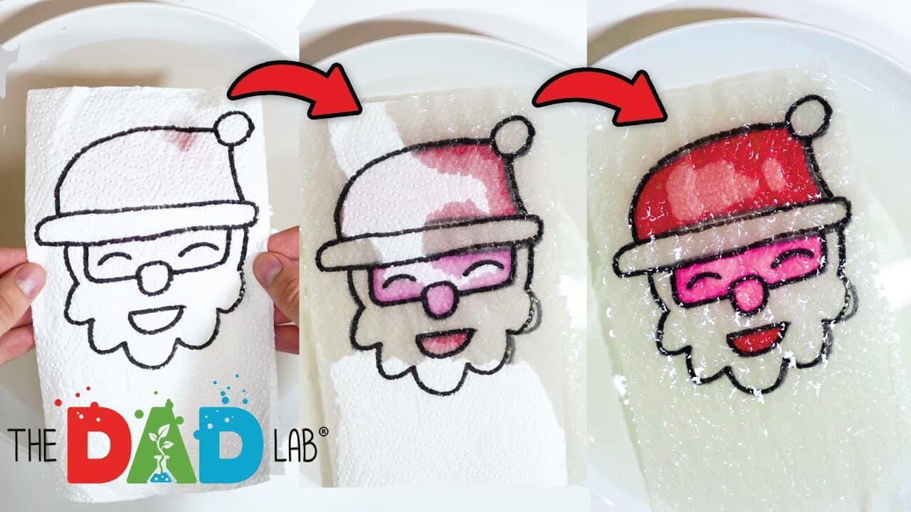 Christmas Science Experiment with Paper Towels