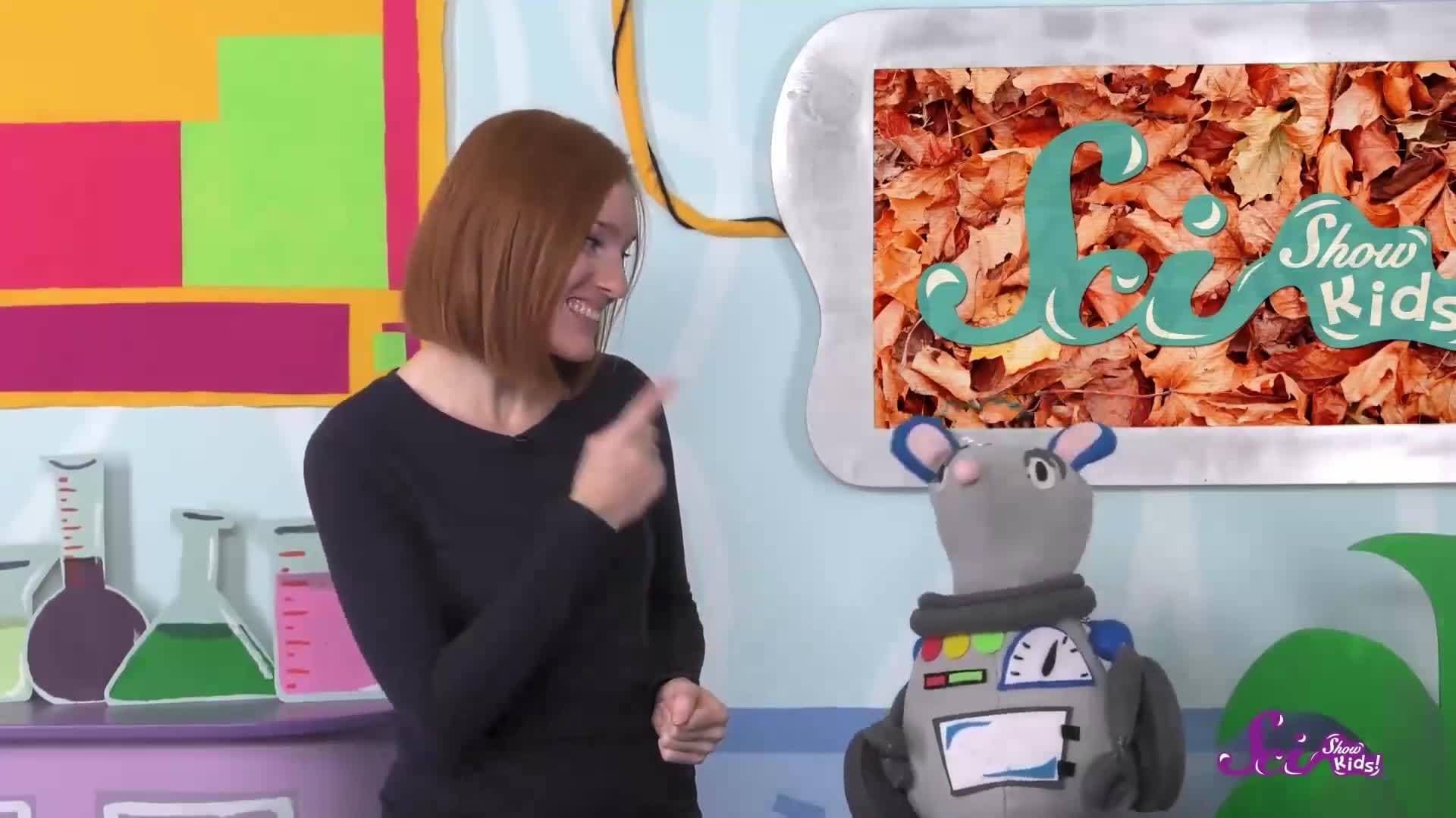 The Science of Fall | Compilation | SciShow Kids