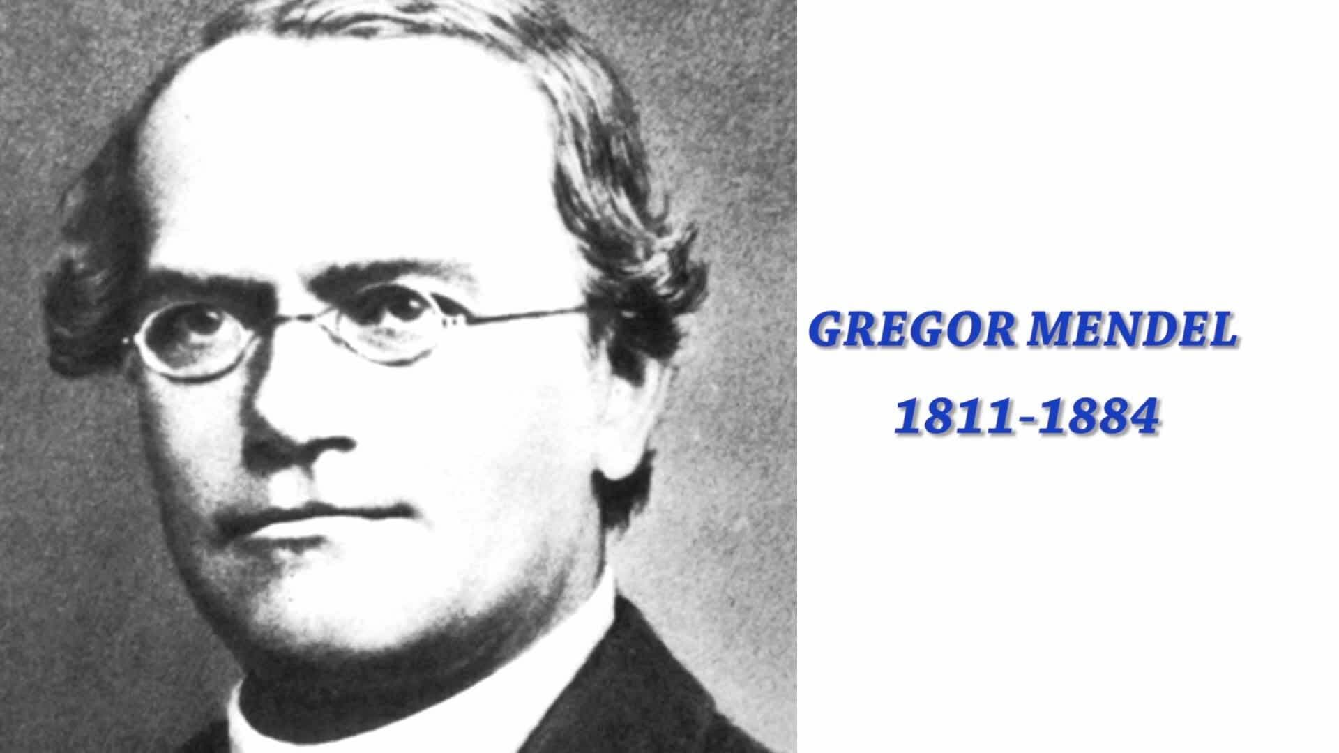 Genetics Explained: From Pea Plants to Tongue Rolling