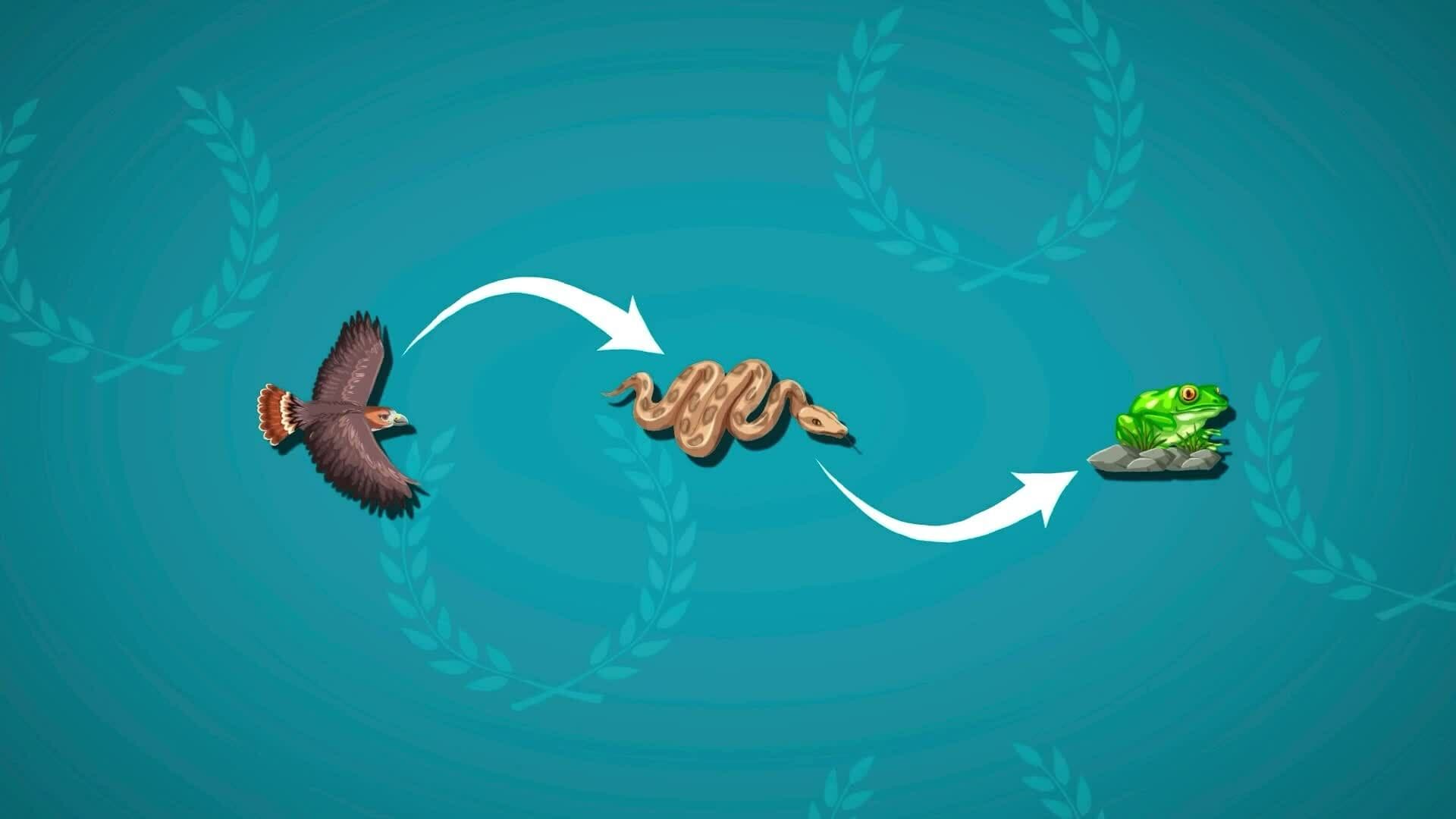 I WONDER - How Does Biodiversity Work?