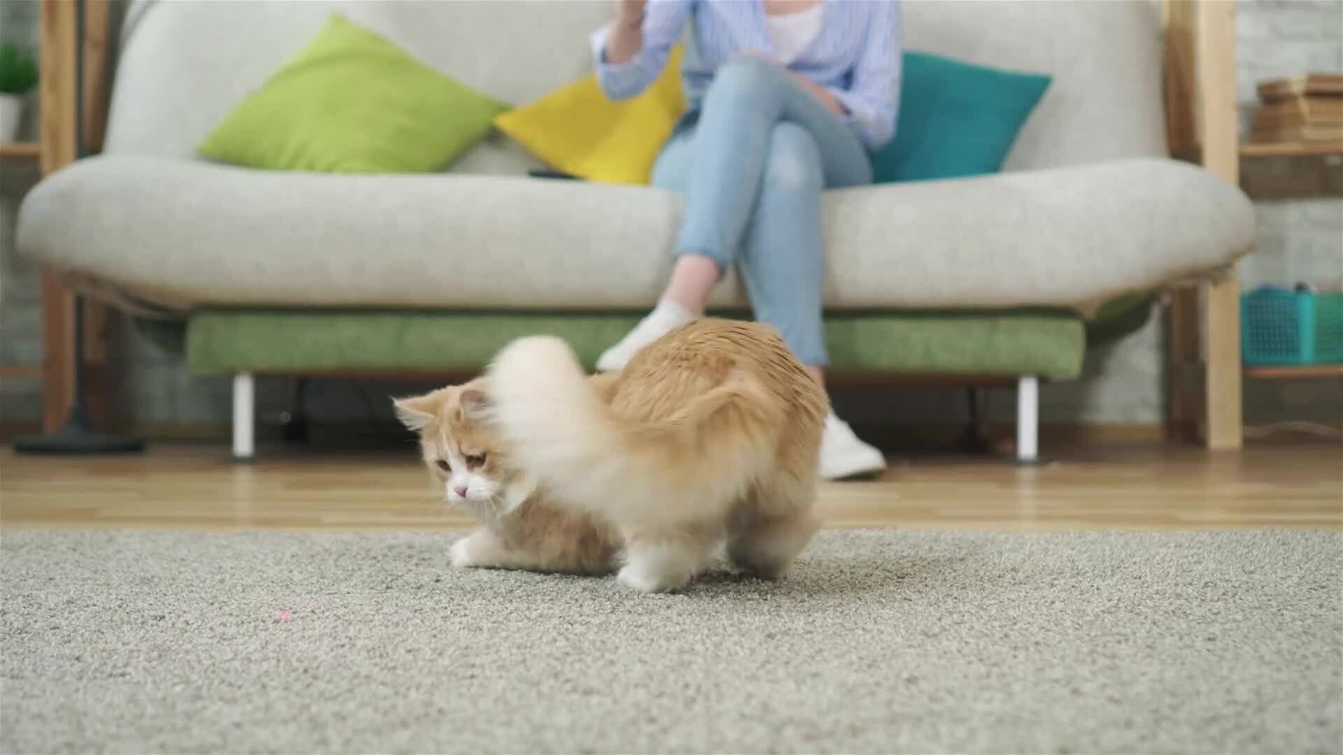 I WONDER - Where Are Lasers Used?