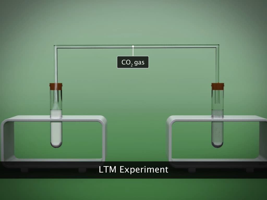 Chemical Properties of Acid and Base