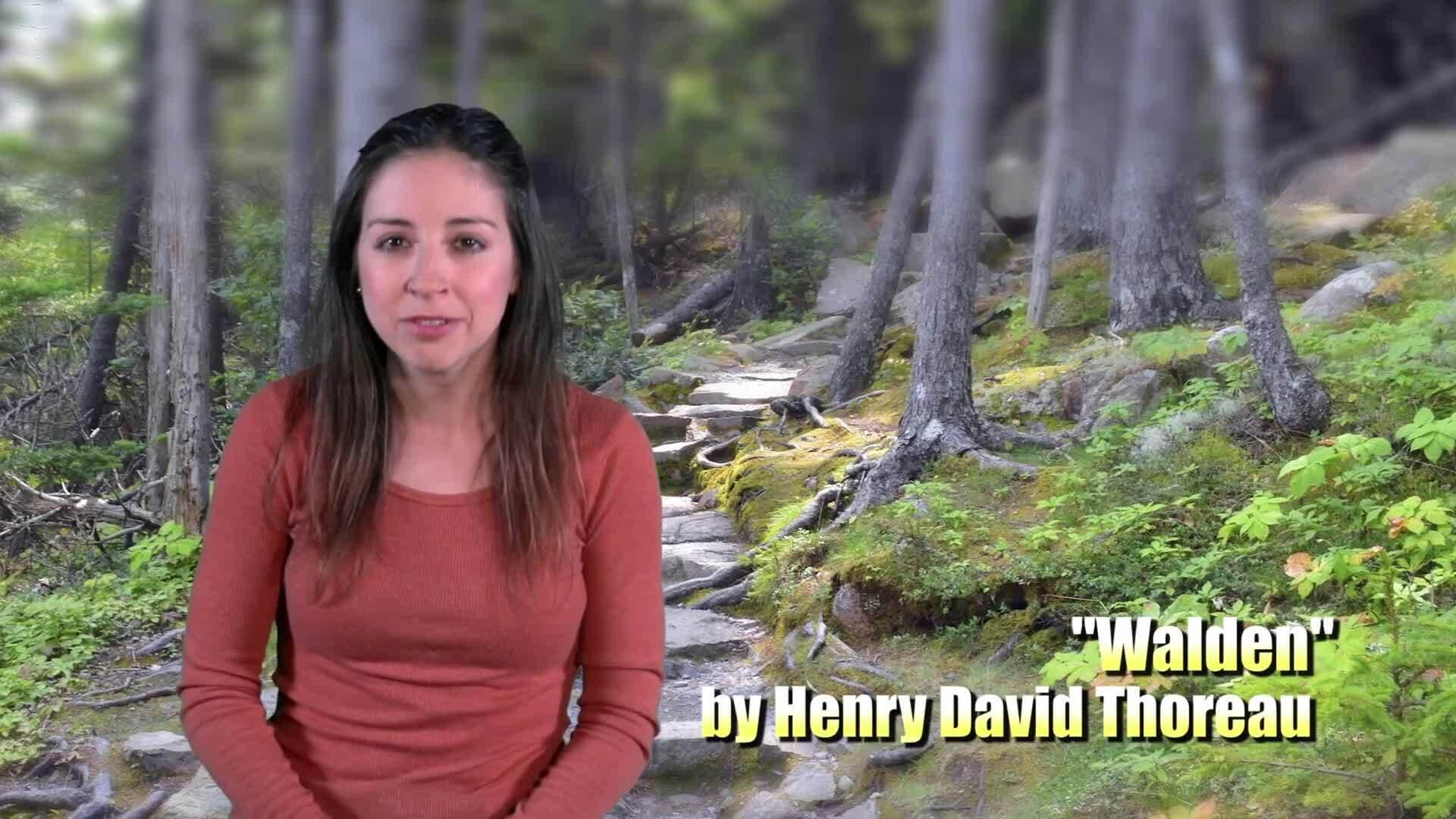 Allusion in Literature: Conveying Meaning with Brevity