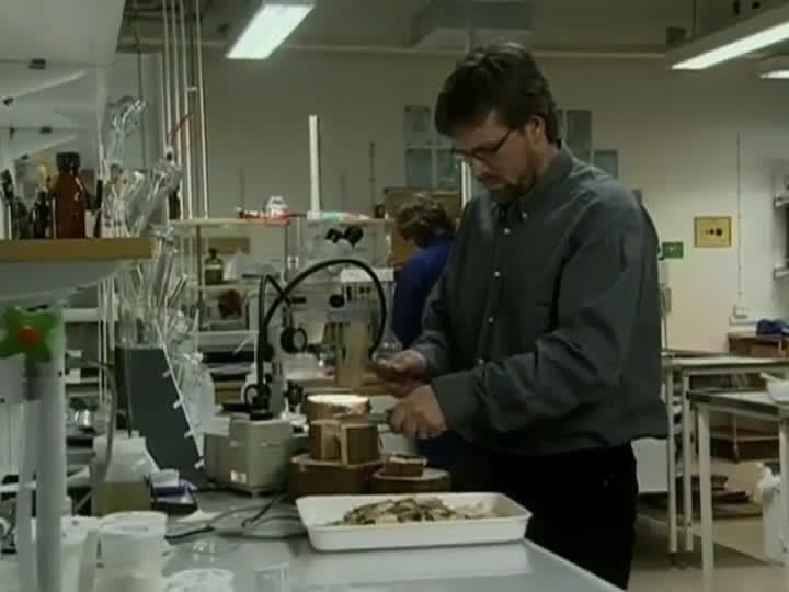 Tree Farming: Processing trees in a cellulose factory