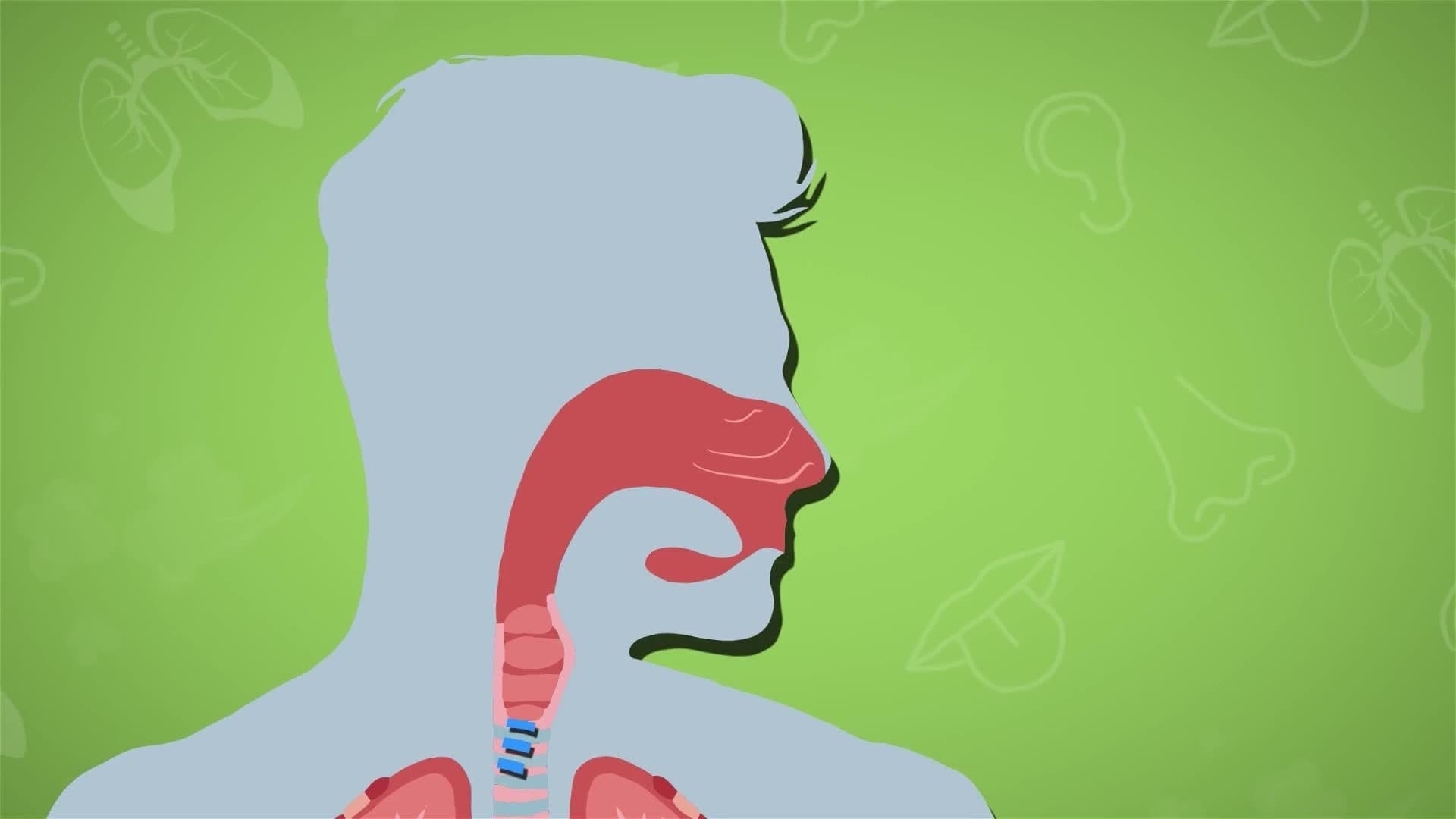 I WONDER - How Do Humans Speak?