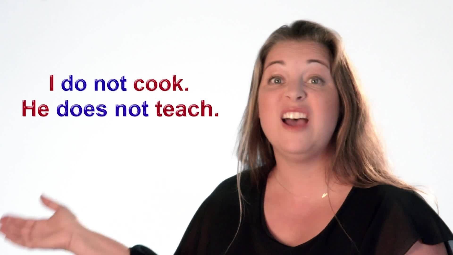 Present Simple Tense - Negative form and questions