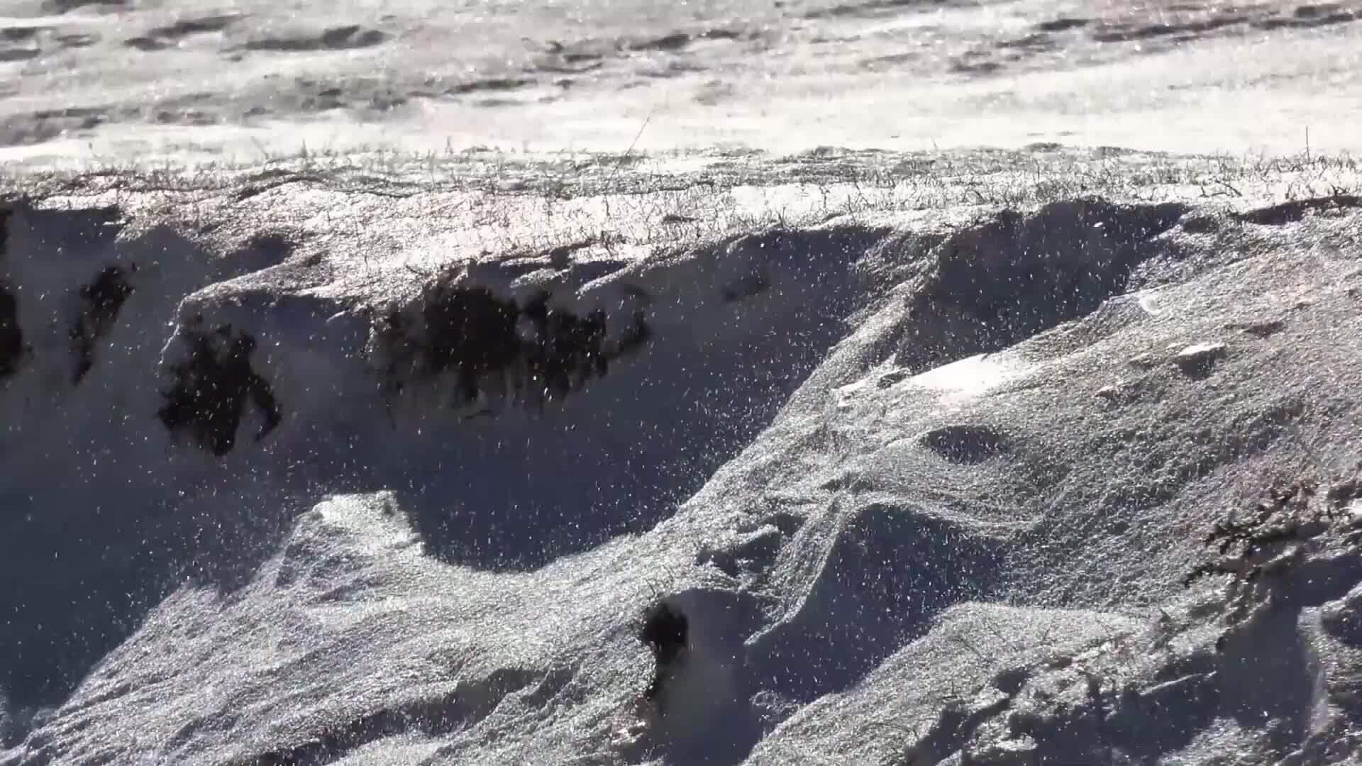 I WONDER - What Was A Viking Raider?