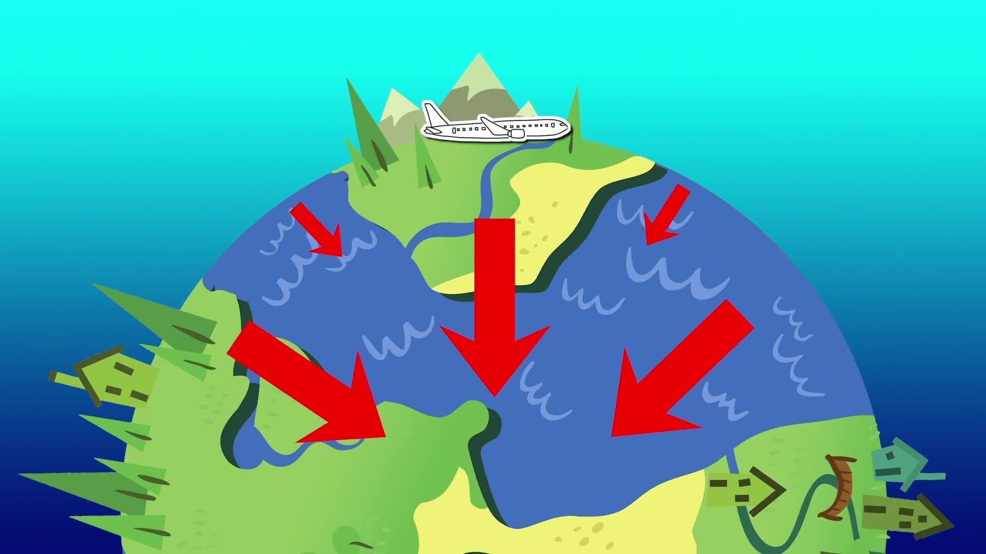 Flight Forces: Exploring Weight in Aviation