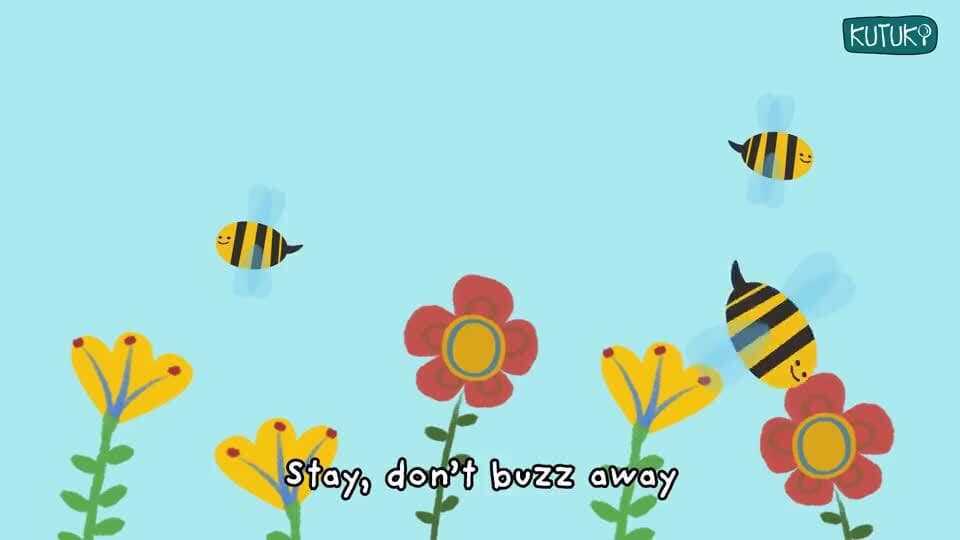 Insects and their movements