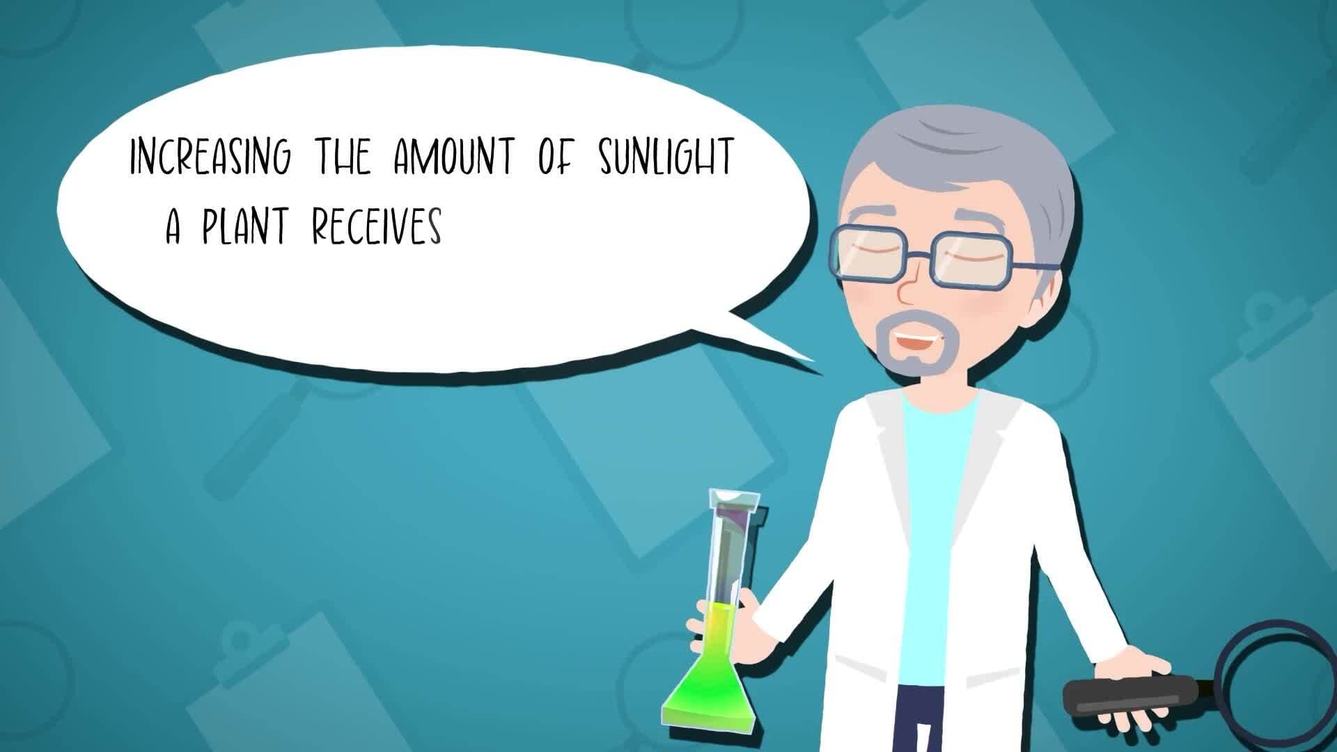 High Five Facts - Hypothesis