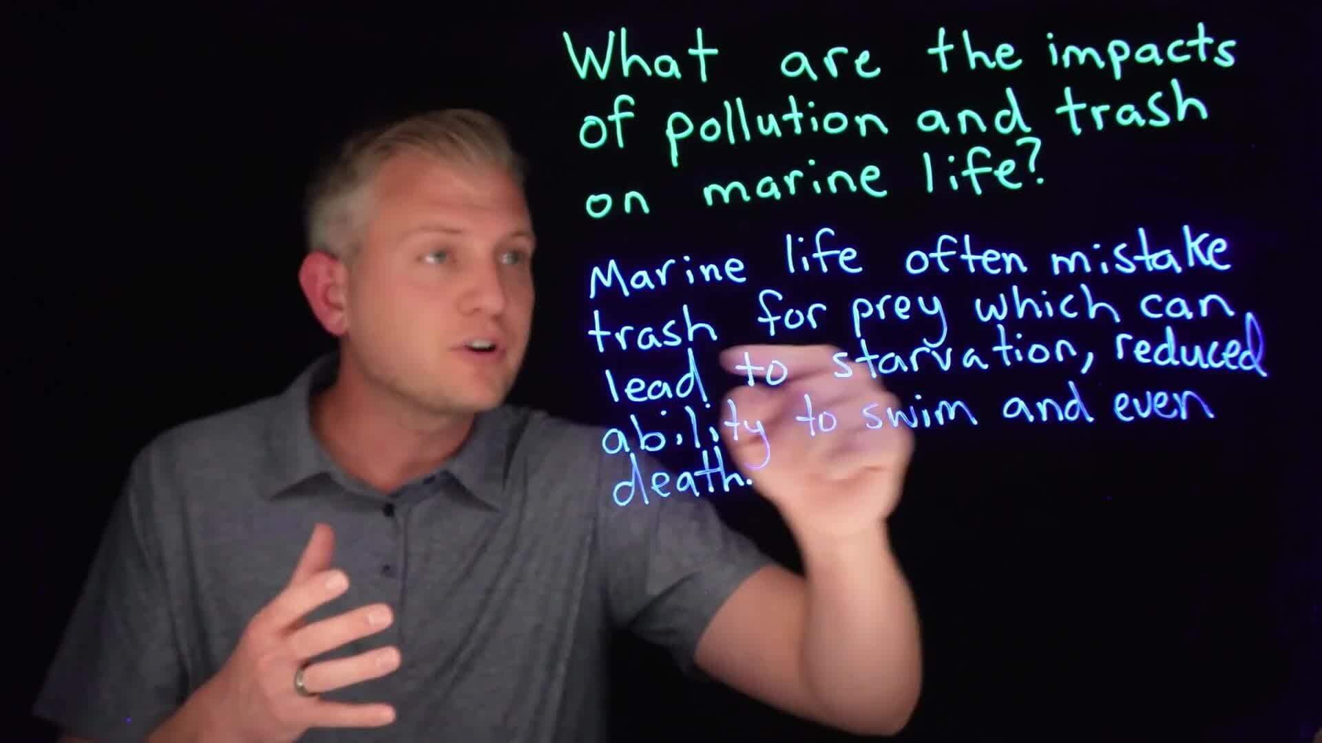 How to Write an Essay: The Complete Step by Step Guide for Beginners