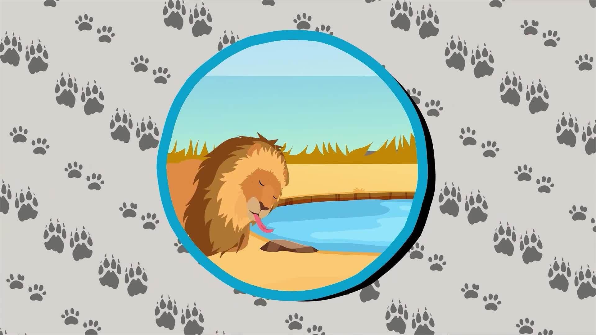 I WONDER - How Do Lions Stay Hydrated?