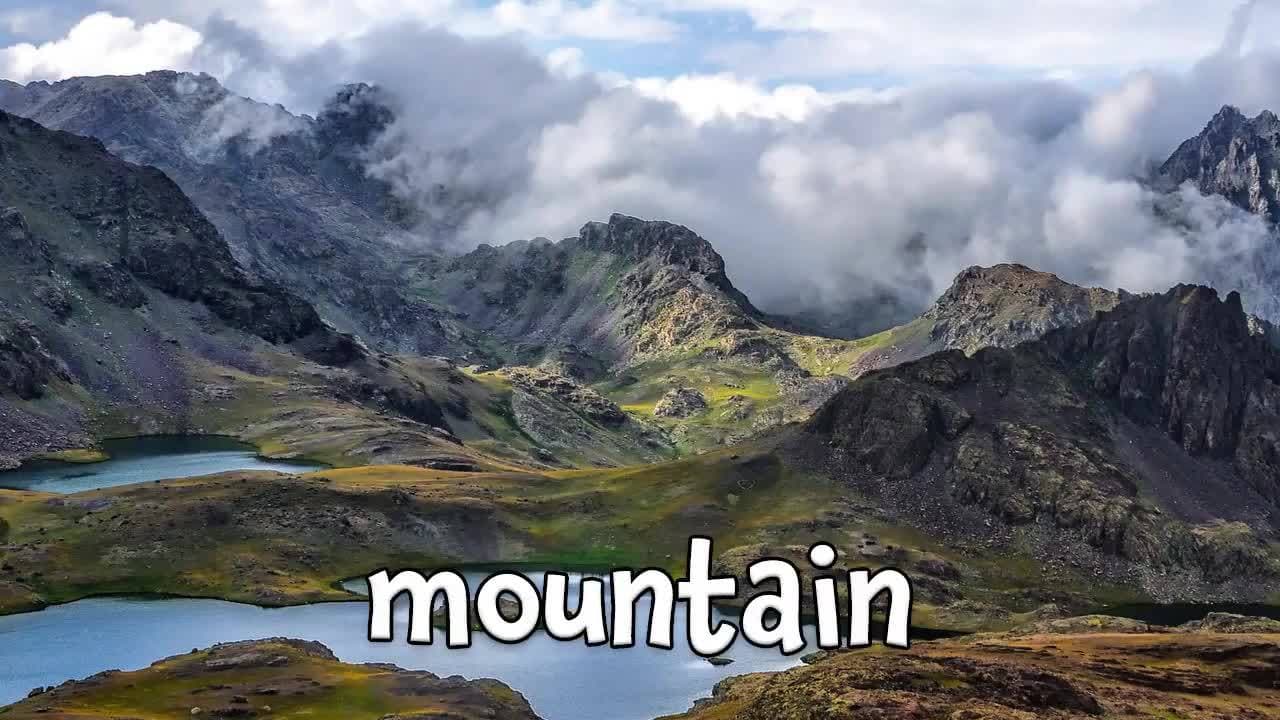 Ecosystems!  Learning about Ecosystems for Kids