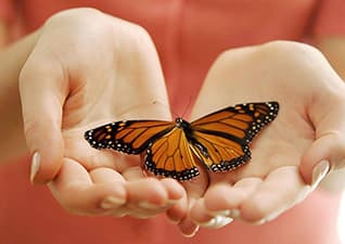 Touch - Sensory Receptors