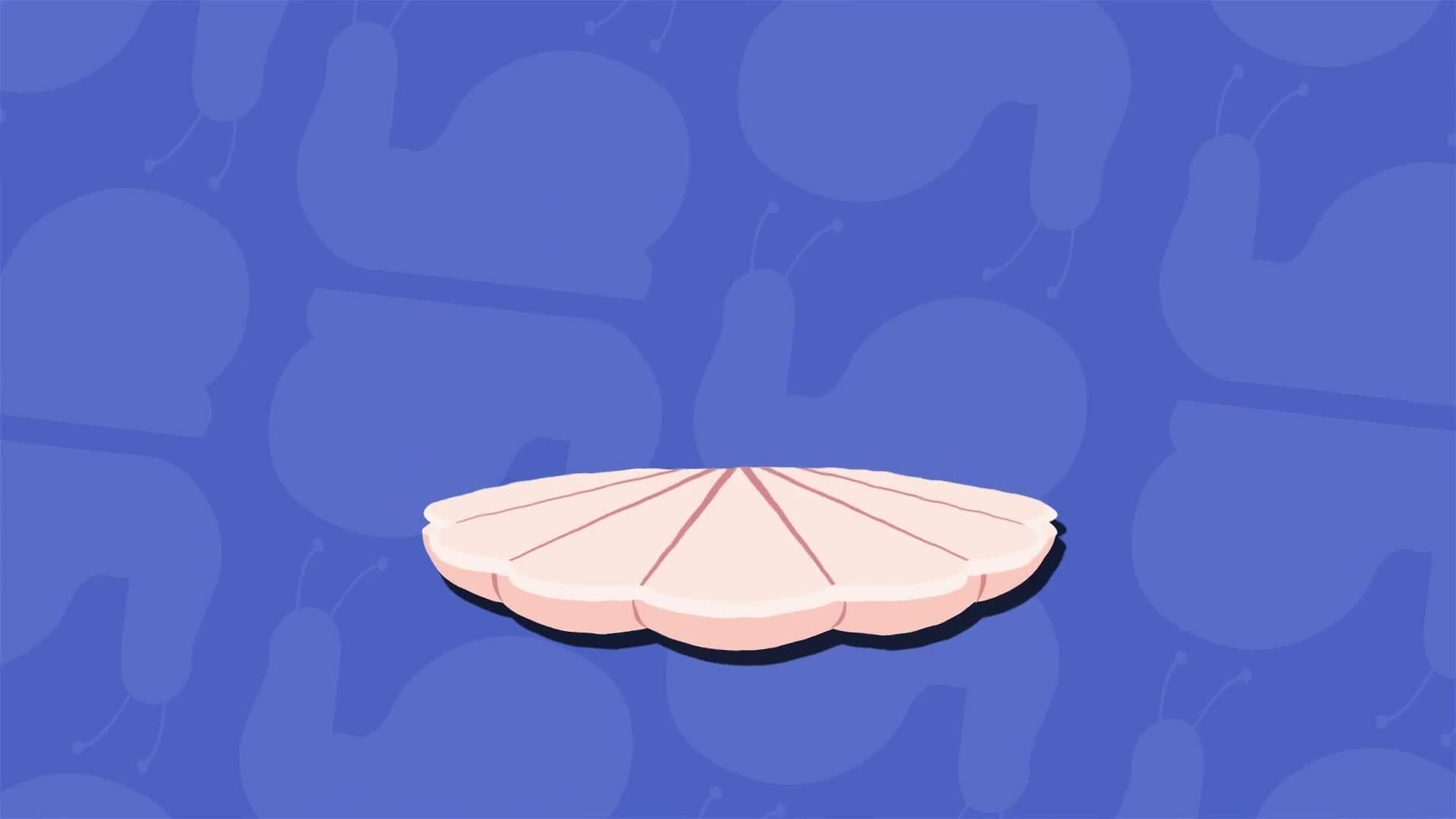 I WONDER - Do All Mollusks Have Shells?