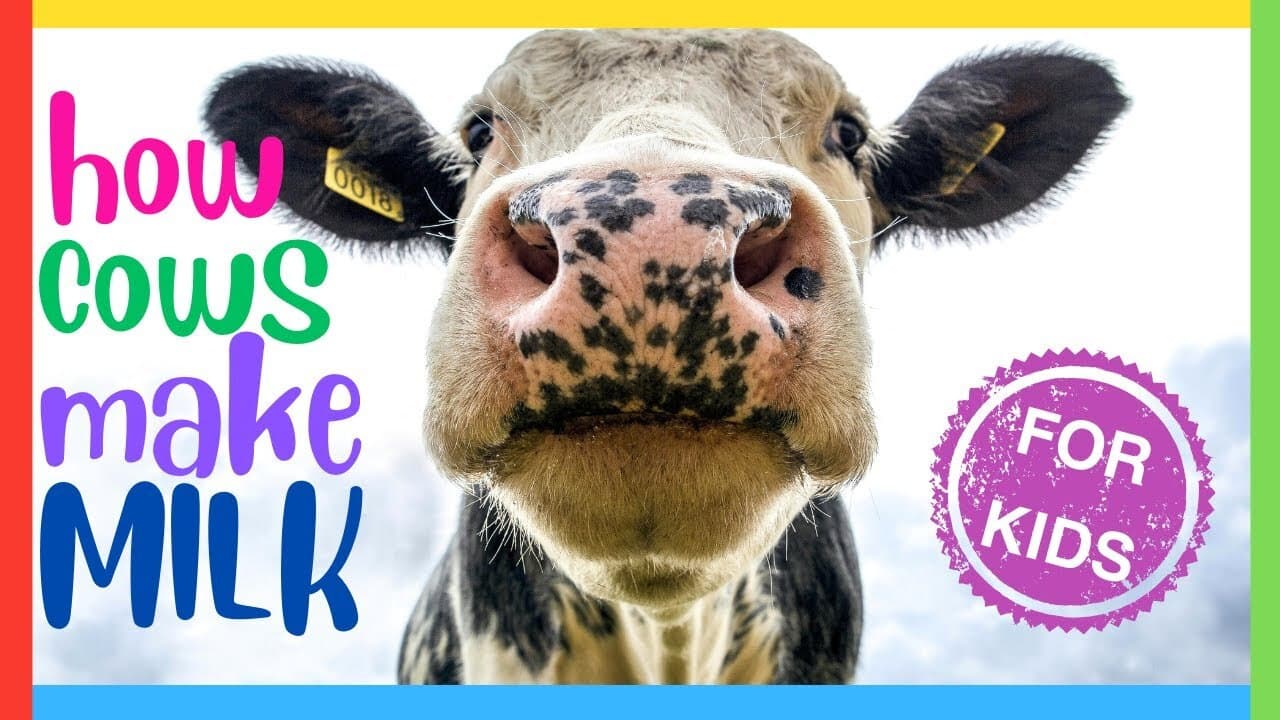 How Cows Make Milk: Simple Explanation