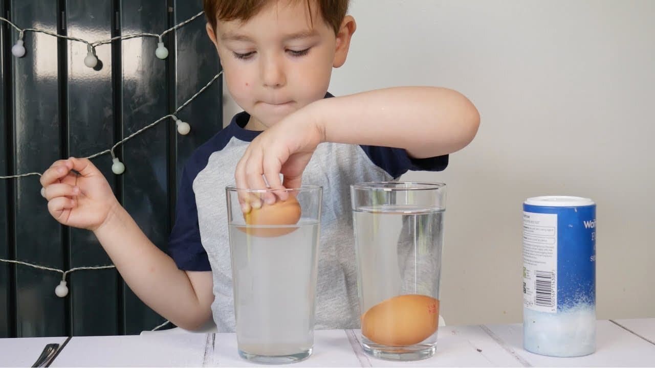 Science Experiment: Saltwater Egg