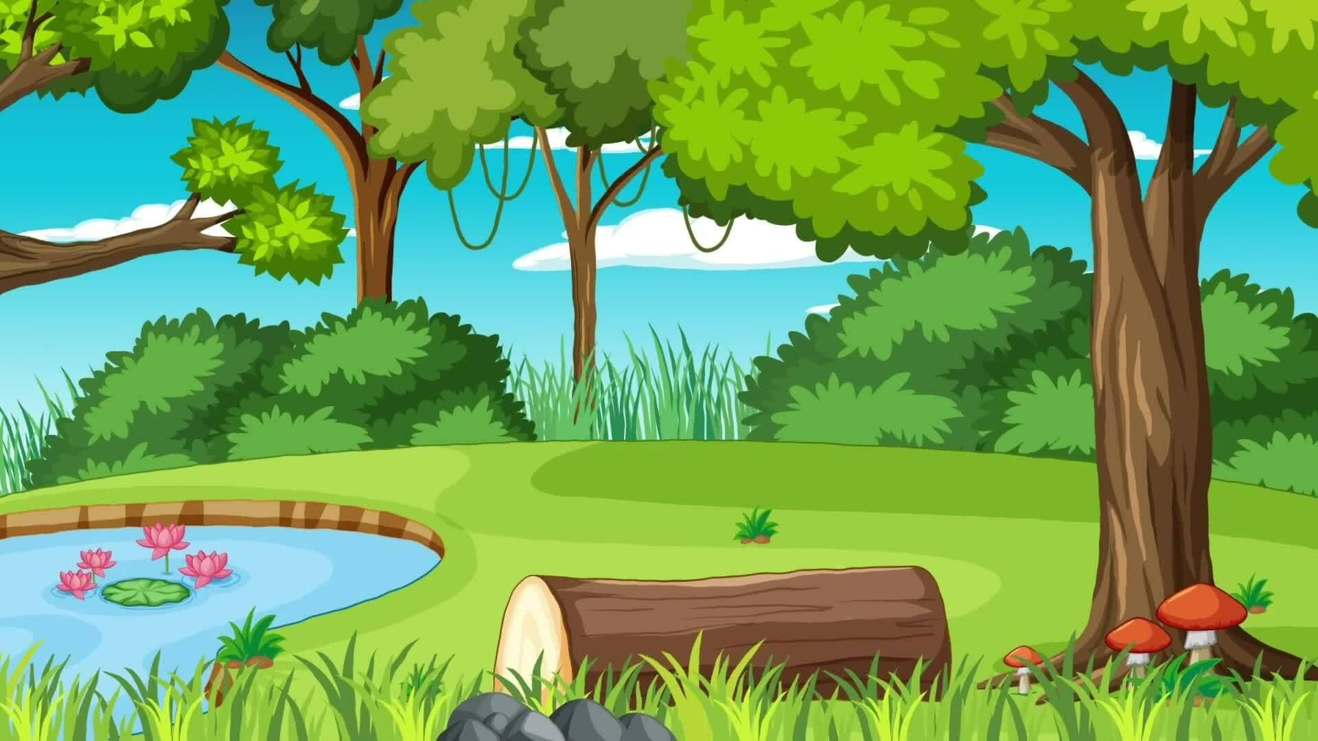 I WONDER - Why Do Foxes Come Out At Night?