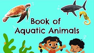 A Peek at Aquatic Animals