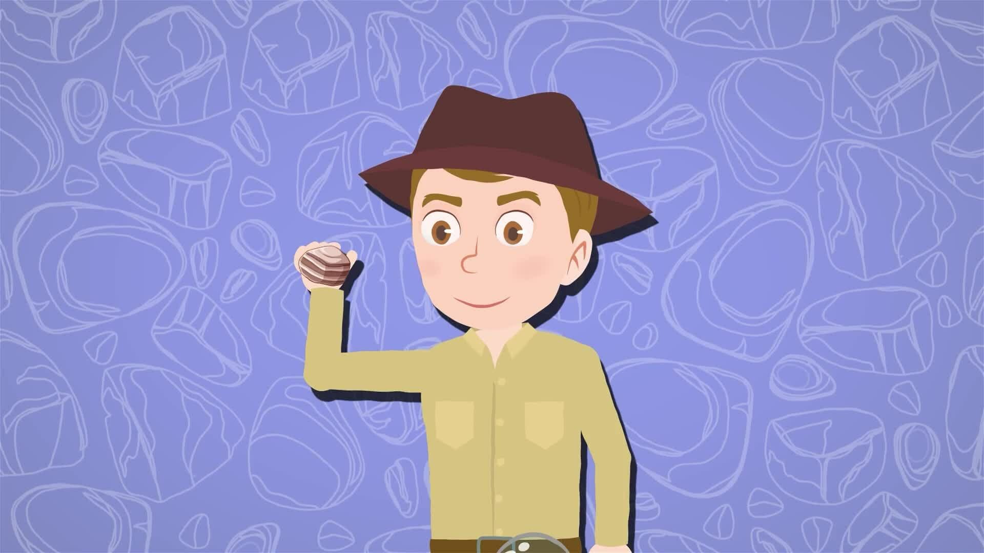 I WONDER - What Can We Learn From Sedimentary Rocks?