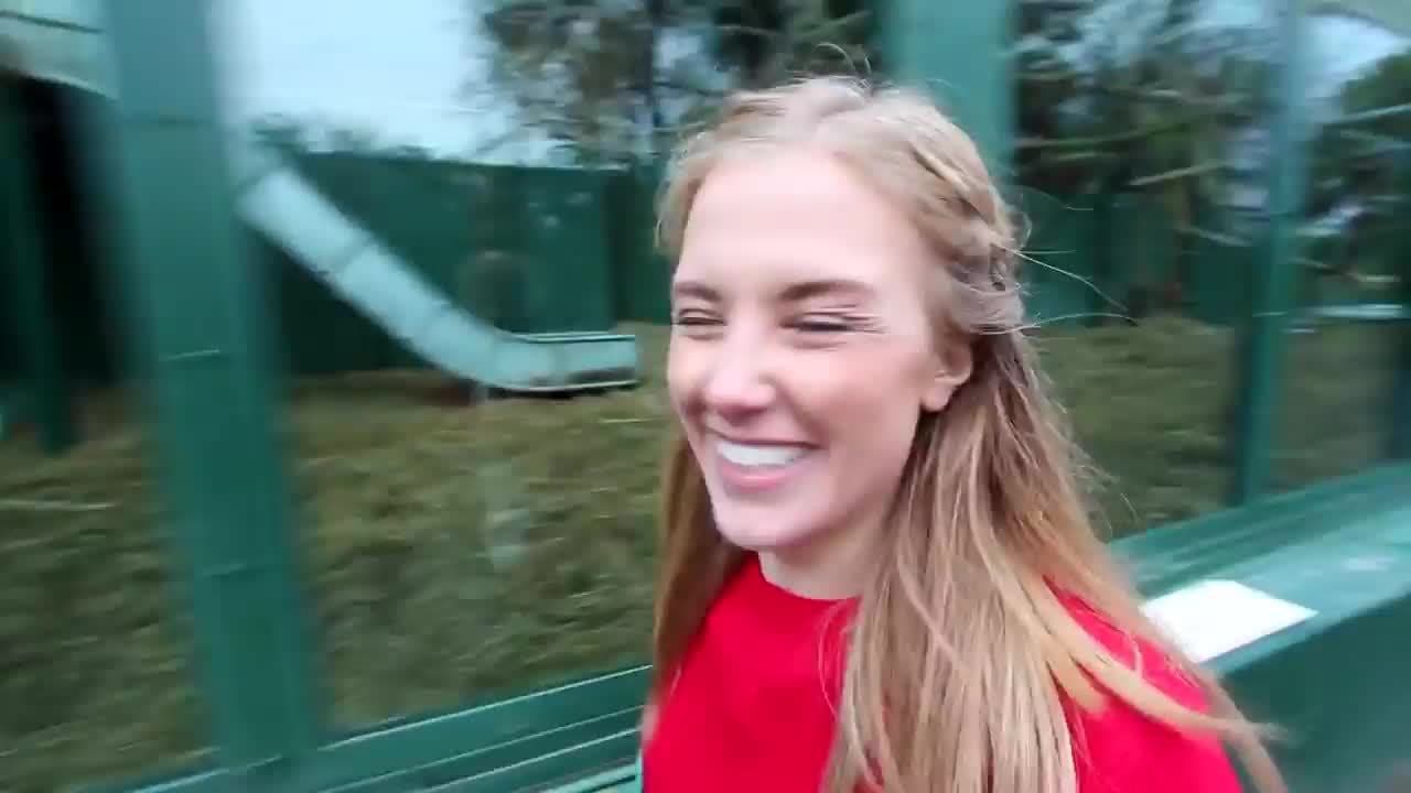 Giving Gorillas Christmas Presents! | Maddie Moate