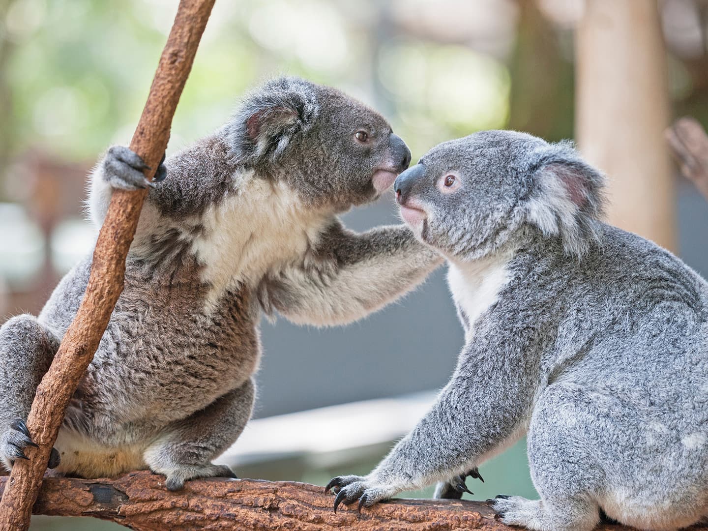 Teaching Responsibility and Building Trust