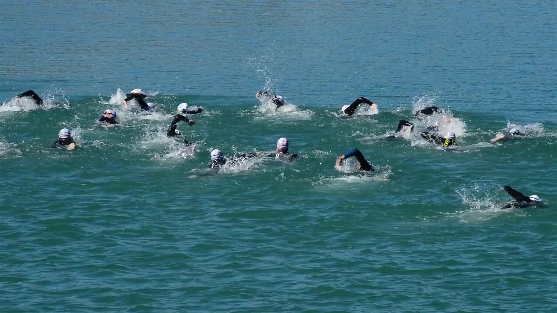 I WONDER - Did Ancient Roman Schools Teach Sports?